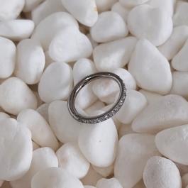 Segment rings