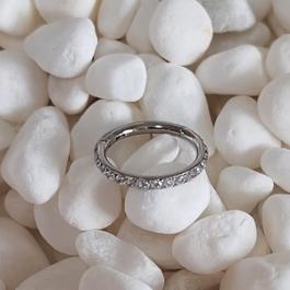 Segment rings