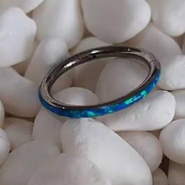 Segment rings