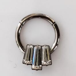 Segment rings
